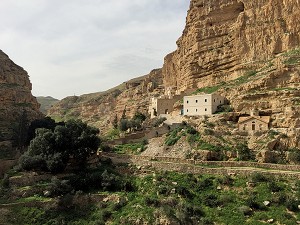 Reawakening-in-Wadi-Qelt-3