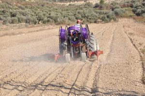 Installing the drip irrigation system under the soil.