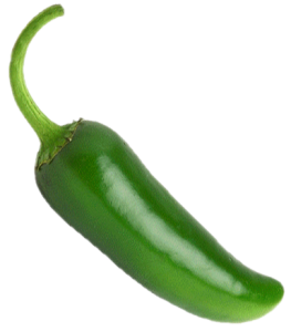 jalapeno-pepper