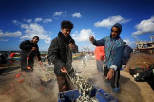 Fishing in Gaza. Photo courtesy of WHO.