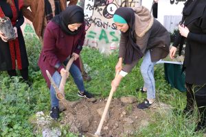 Planting flowers to revitalize areas near the Wall around Rachel’s Tomb in north Bethlehem. 