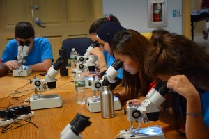 Science Lab: Al Nayzak students exploring biodiversity after collecting various organisms from nature.