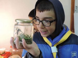 Students see animal-plant interactions.