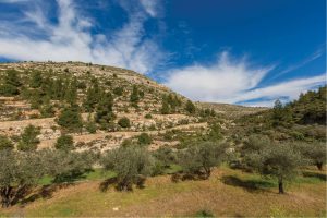 A view from Al-Makhrour Valley.