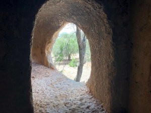 Roman ruins in Al-Makata’a Photo courtesy of the author.