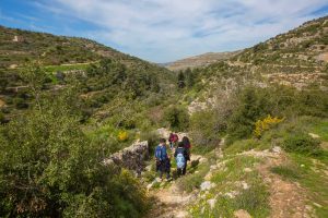 The beautiful area of Al-Makhrour in Beit Jala.