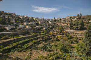 The beautiful village of Battir near Bethlehem. Photo by Firas Jarrar. 