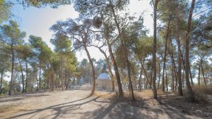 The woods near the shrine of Nabi Ghaith.