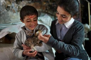 Sitting with Fatima, his older sister, Yousuf, 7 years old, plays with a kitten inside their home in a cave in Hebron hills in the southern West Bank. Photo ©UNICEF-SoP/2019.